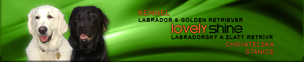 Lovely Shine - Chovatelská Stanice Labradorských a zlatých retrieverů; Labrador & Golden Retriever Kennel